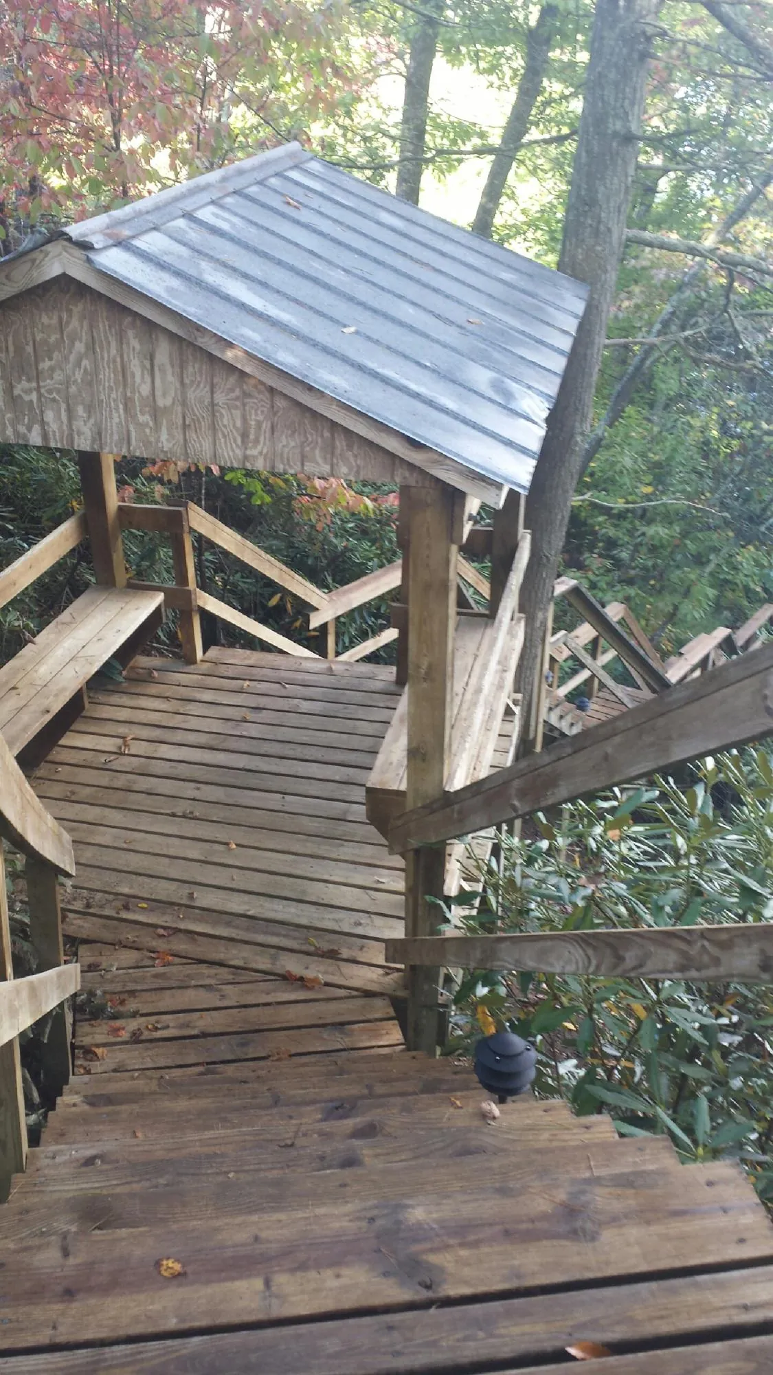 Metal roofed shelter over wooden steps on a wooded walkway — Skylight Repair & Installation work by our crew in Leo